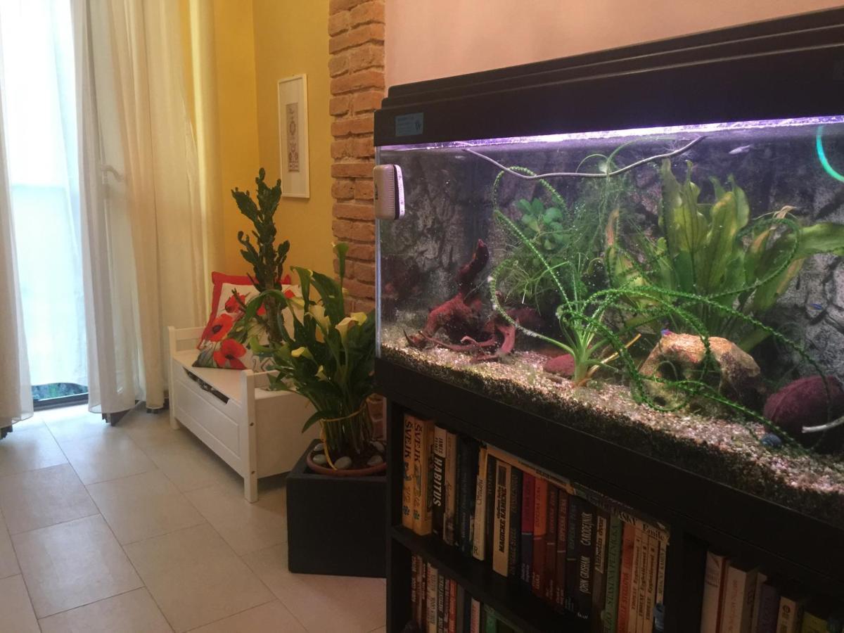 B&B La Casa D'Artista Ortignano Raggiolo Екстер'єр фото